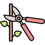 Pruning Shears Icon