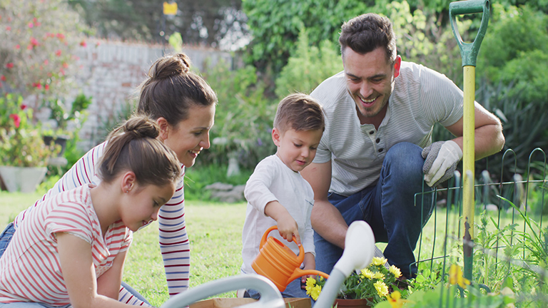 About Us - Imlay City Tree Care Services